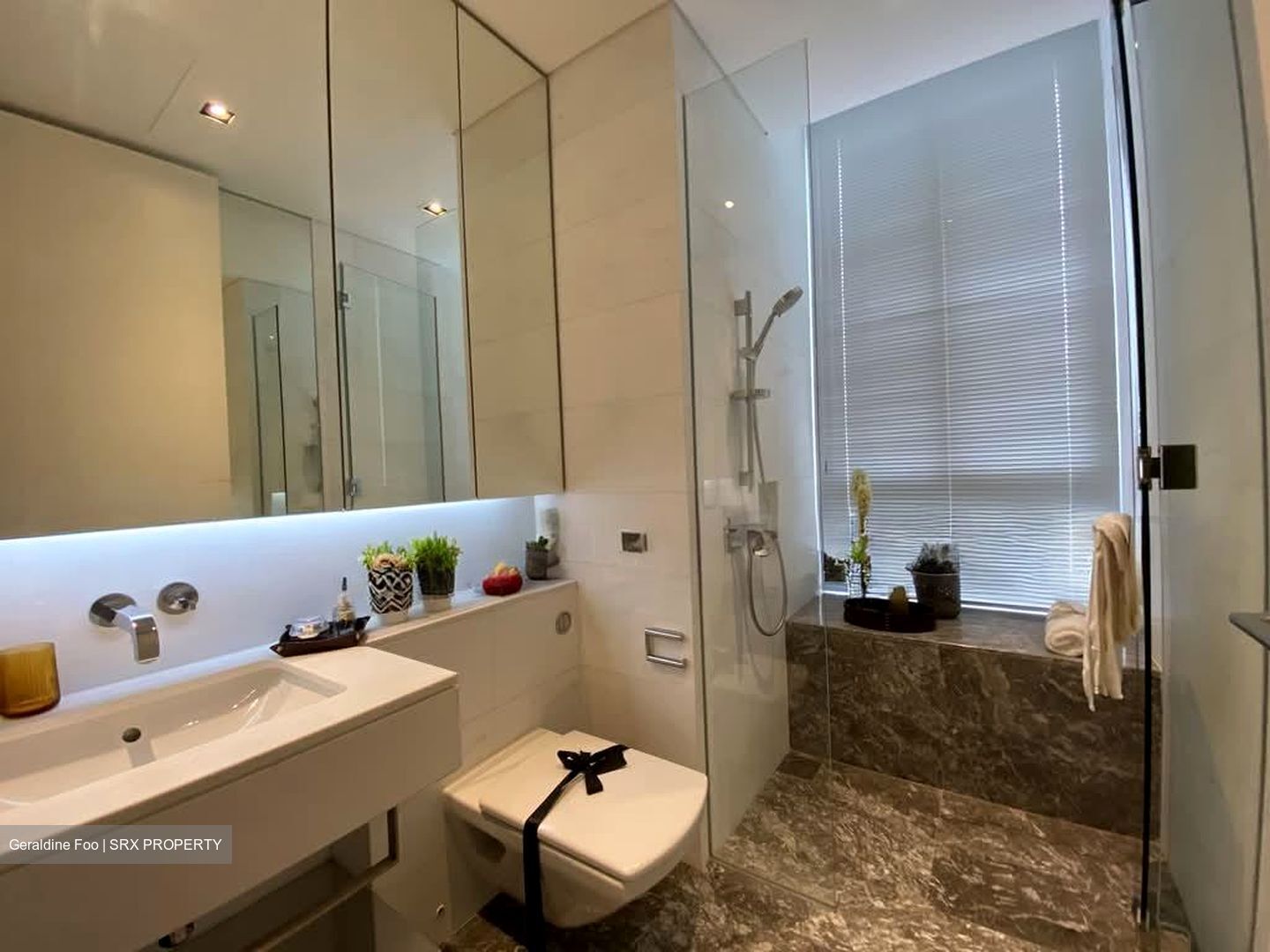 The Oliv (D10), Apartment #586049481